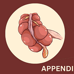 how-to-appendicitis-treatment-without-surgery-in-homeopathy